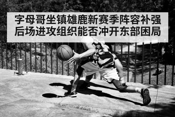 字母哥坐镇雄鹿新赛季阵容补强后场进攻组织能否冲开东部困局